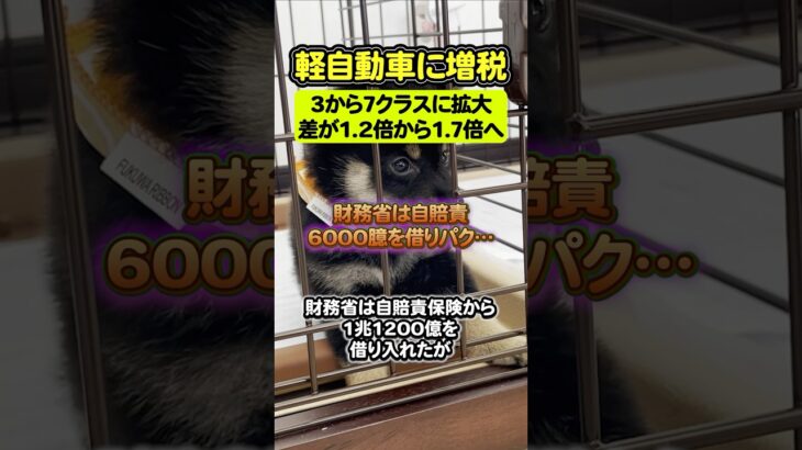 【激怒】黒幕は財務省？←軽自動車の自賠責保険負担が大幅増加へ【財務省/自民党/軽自動車/税金上がる/増税】#shorts