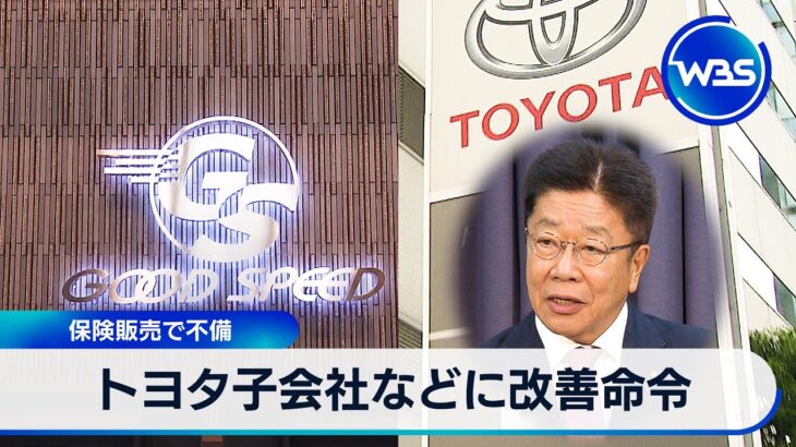 トヨタ子会社などに改善命令　保険販売で不備【WBS】