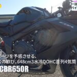 【CBR650R】HONDAの大型ミドルスポーツにレンタル試乗したよ。めちゃくちゃイケメンスタイルに一目惚れ！#honda #cbr650r #バイク#automobile