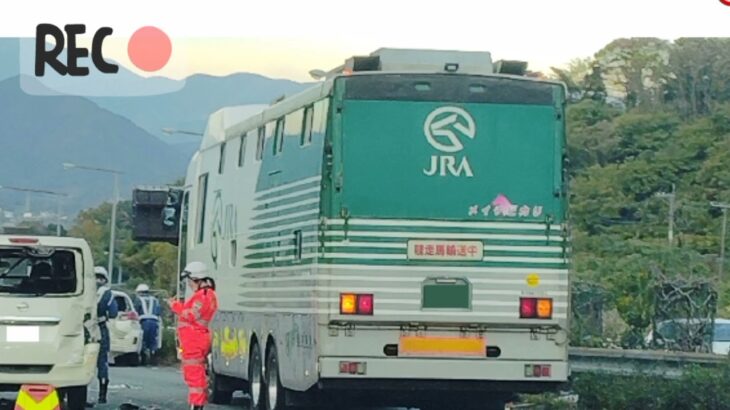 “馬運車”との事故「人生が終わる」「保険が下りない」はホント？　ドライバー間でささやかれるウワサの真相は…【弁護士解説】