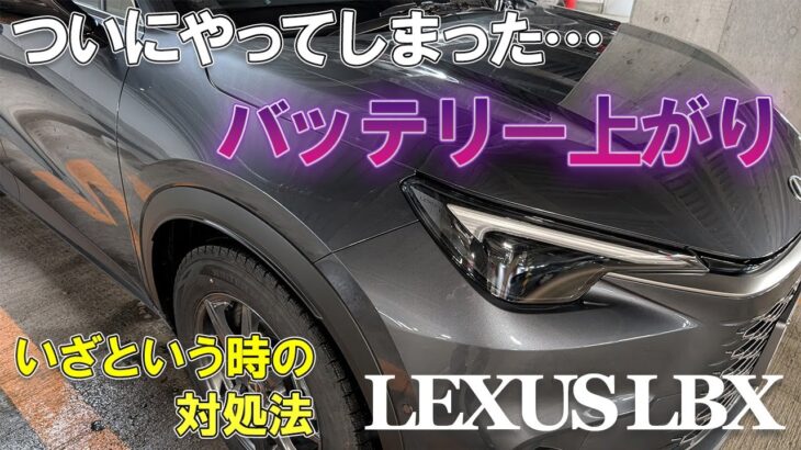 【悲報】ついにやってしまった…レクサスLBXバッテリー上がり体験とその対処法について｜Lexus LBX with flat battery in winter [No.035]