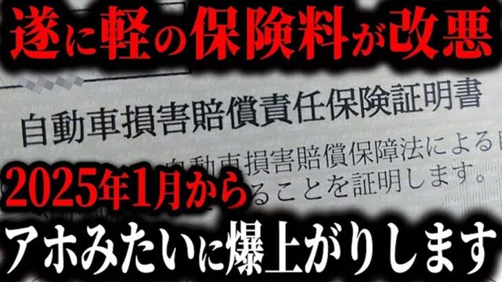 【悲報】遂に軽自動車の保険金額が高くなります。保険料率の改定を徹底解説【ゆっくり解説】