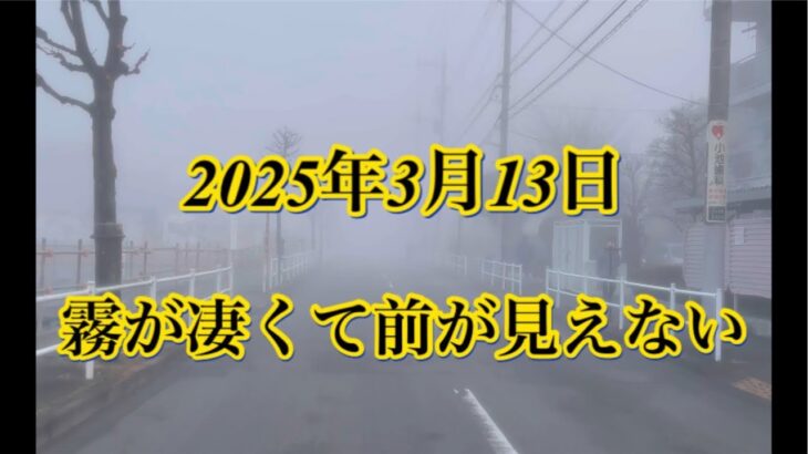 Walk Recorder 自動車屋ひで 朝のゴミ拾い Live 2025年3月13日