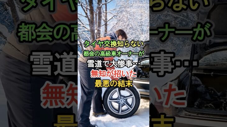 タイヤ交換知らない都会の高級車オーナーが雪道で大惨事…無知が招いた最悪の結末 #車 #自動車 #くるま #クルマ #外国の反応  #海外の反応 #雑学 #タイヤ #高級車