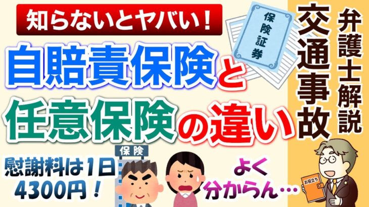 【自賠責と任意保険】慰謝料4300円・休業損害6100円とは？自動車保険に2つの保険がある理由！知らないと保険会社の説明が理解できず、大変な損をすることも！弁護士が図解で分かりやすく解説します！