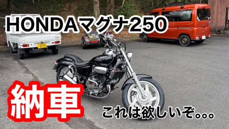 【HONDAマグナ250納車】これは欲しいぞ‼️2025年3月#バイク