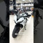 Triumph新型 DAYTONA 660 ただいま試乗受付中！#Triumph#新型 #daytona 660#ハーレーダビッドソン
