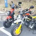 SUZUKIストリートマジック50に試乗してしまった！！
