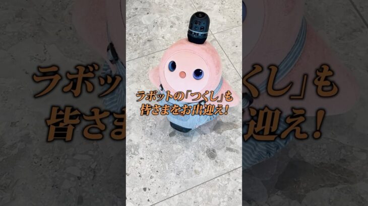 【つくし🌸】ラボットのつくしが皆様をお出迎えします♪
