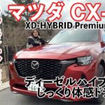 【試乗レビュー】マツダ渾身のSUV！CX-60の実力は本物か？吉田由美ちゃんねる、yumi yoshida