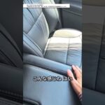 ホンダオデッセイの試乗レビュー！ #ホンダ