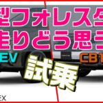 新型フォレスター試乗！元SKEフォレスター乗りの感想は・・・【SUBARU FORESTER】