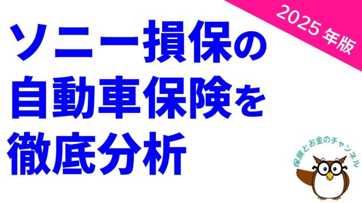 【2025年版】ソニー損保の自動車保険を徹底分析【キャッシュバックプランが魅力】