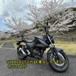 GIXXER250の試乗報告