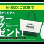 N BOX  ご試乗で、ご成約で、いいこといろいろ