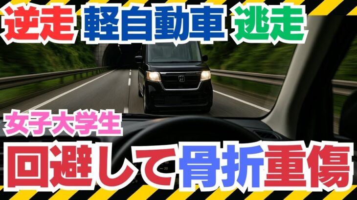 【逆走車が来て回避しない方が良い？】金沢・国道159号で逆走車回避し軽自動車衝突　女子大生重傷、逃走車を捜査#逆走事故#自動車保険#無過失特約