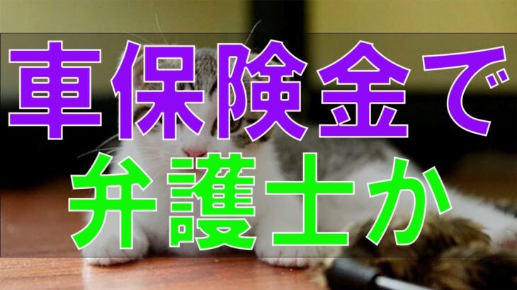 テレフォン人生相談 😽自動車保険金で弁護士からクレームをうけた73才男性!