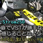 【SUZUKI V-Strom250】自分の行動でVSTROM250気になることいくつか。それにしてもガソリン高すぎ！