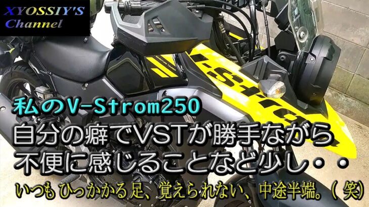 【SUZUKI V-Strom250】自分の行動でVSTROM250気になることいくつか。それにしてもガソリン高すぎ！