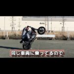 VTR250に試乗した　#バイク #オートバイ #モトブログ #motorbike #motovlog #motorcycle #stunt #試乗 #shorts
