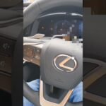 LEXUS　レクサス　RZ試乗　
