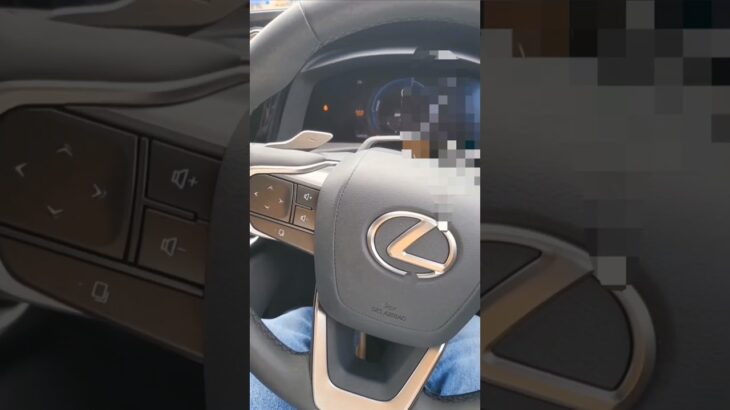 LEXUS　レクサス　RZ試乗　