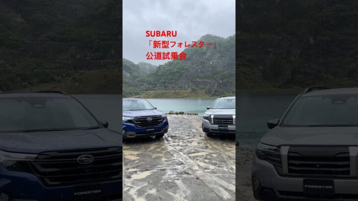 土砂降りの中、スバル「新型フォレスター」SUBARU New FORESTER公道試乗会⭐️吉田由美ちゃんねる、yumi yoshida #shorts  #short