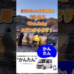 車を買う前に！保険も“かんたん”でサクッとチェック✅