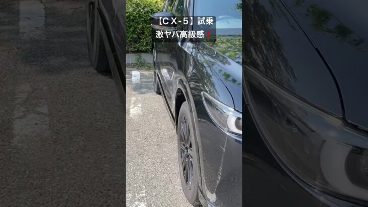 【ＣＸ-5】激ヤバ高級感‼️試乗体験