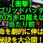 【知らないと損】ハイブリッドバッテリー交換費用、実は〇〇万円も安くなる!? プロが教える裏ワザ