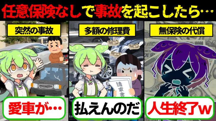 【実話】【無保険の代償】任意保険なしで事故を起こしたずんだもんの末路がヤバすぎた…【ゆっくり解説ずんだもん】