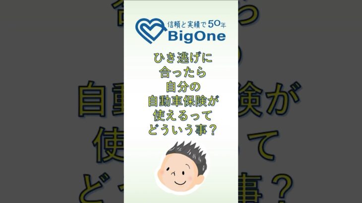ひき逃げに合ったら自分の自動車保険が使えるってどういう事？