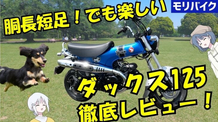 ダックス125の試乗レビュー スペック 燃費 デザイン 一般道 ワインディング honda dax125 review