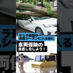 台風や大雨で被害を受けた！車両保険は使える？ #自動車保険 #車両保険 #台風 #ゲリラ豪雨 #浸水 #水没 #任意保険