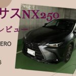 【レクサスNX250内装】2025年6月生産終了　最終モデル試乗レビュー　GoPro HERO 4K撮影