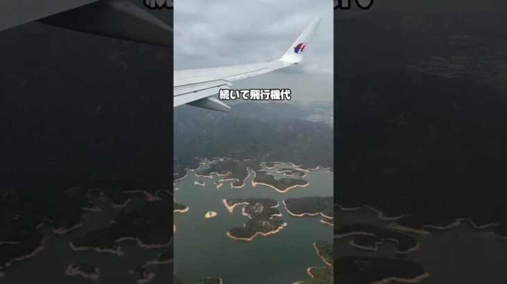 旅行中でも保険の見直しOK！オンラインでサクッと比較⏱️💻