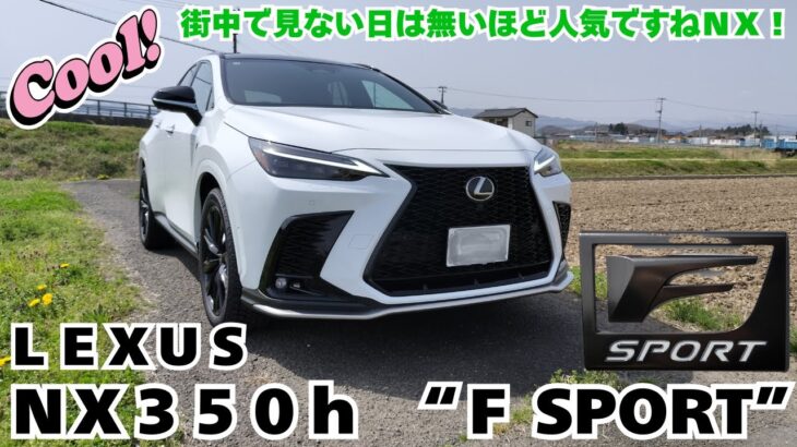 レクサスＮＸ３５０ｈに試乗してきました！