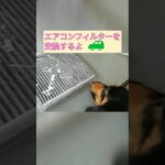 【梅雨前に車のエアコンフィルター交換したよ】#ヴェゼル#エアコンフィルター #自分で交換#簡単 #アルくん