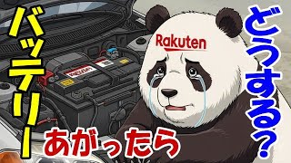 JAF 今の時代に必要ですか？ 自動車保険の付帯じゃ駄目ですか？ 自己防衛出来ませんか？