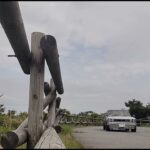 念願のハコスカ 試乗してきました〜✌️