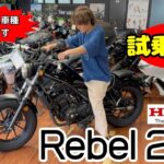 【試乗】レブル250に興味がある人が見る動画
