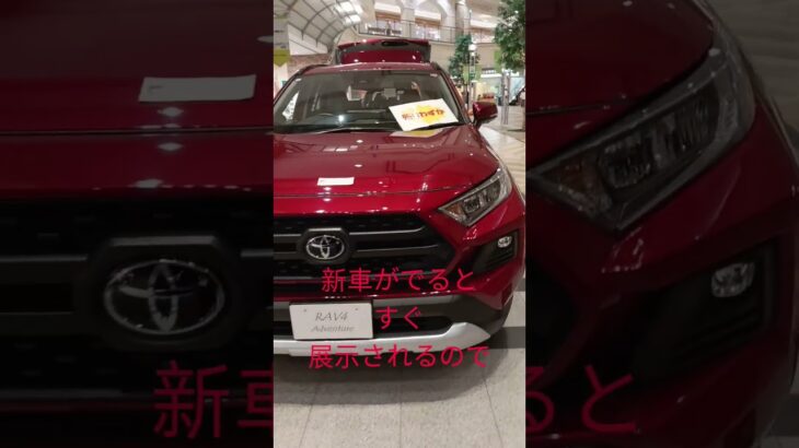 年中無休でトヨタダイハツの車が買えるお店⁉️