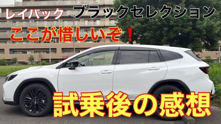 E型レイバック　ブラックセレクション　試乗後にレイバックへの要望を述べる❗️皆さんはどう思われますか⁉️