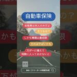 自動車保険入ってる？