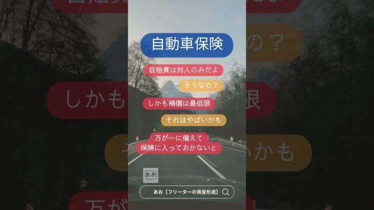 自動車保険入ってる？
