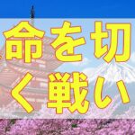 テレフォン人生相談 自動車保険金で弁護士から猛烈なクレーム！73歳男性の人生が危機に！恐怖と絶望の淵で闘う壮絶な戦い！正義を求め、運命を切り開く戦いが今、始まる