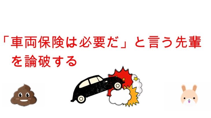 【自動車保険】これで決まりだ！最適最安プラン