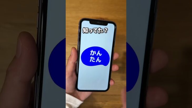 旅行前に要チェック！🚗保険だけで旅費が浮く！？