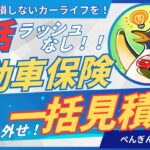 【電話ラッシュなし！】心配なネット自動車保険の一括見積りを動画で概要解説