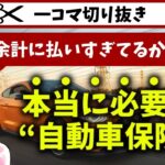 【余計に払ってるかも⁉︎】本当に必要な自動車保険の項目｜切り抜き